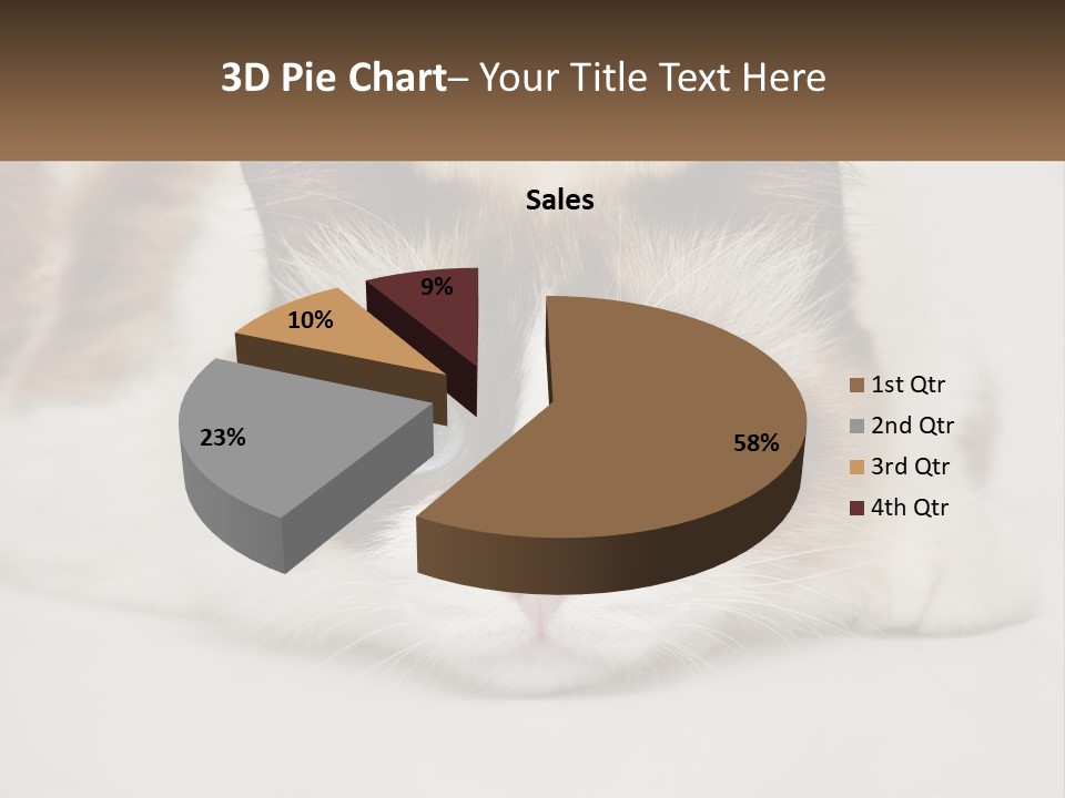 A Brown And White Cat With Blue Eyes Laying Down PowerPoint Template