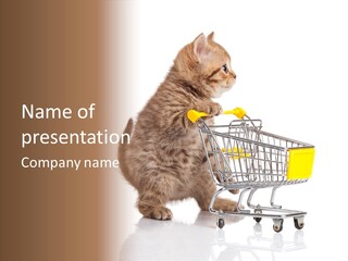 A Small Kitten Is Pushing A Shopping Cart PowerPoint Template