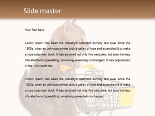 A Small Kitten Is Pushing A Shopping Cart PowerPoint Template