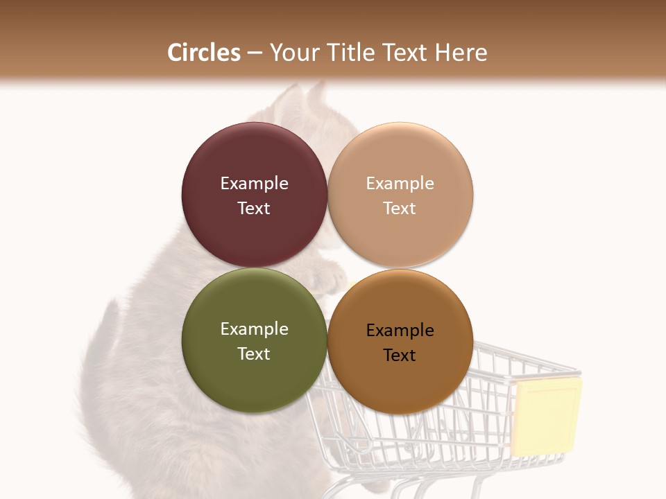 A Small Kitten Is Pushing A Shopping Cart PowerPoint Template