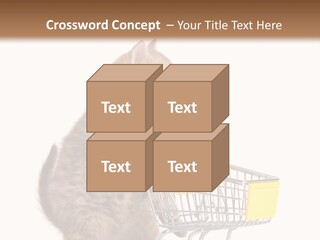 A Small Kitten Is Pushing A Shopping Cart PowerPoint Template