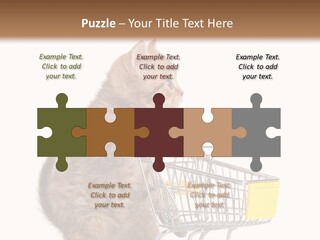 A Small Kitten Is Pushing A Shopping Cart PowerPoint Template