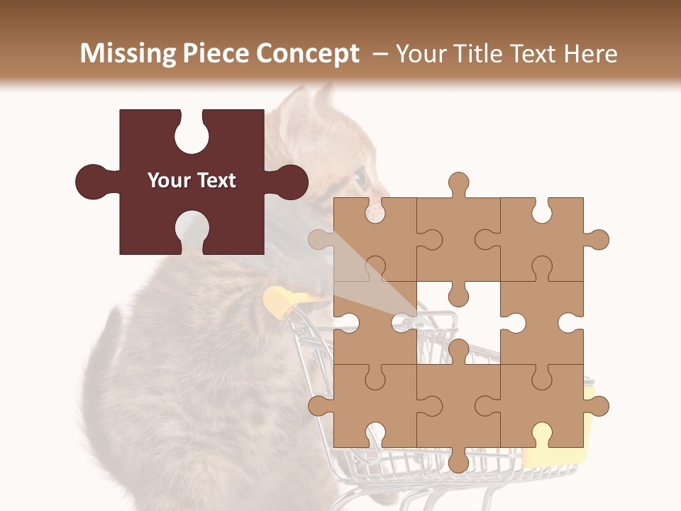 A Small Kitten Is Pushing A Shopping Cart PowerPoint Template