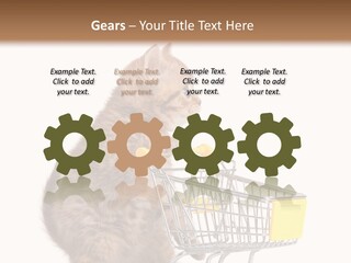 A Small Kitten Is Pushing A Shopping Cart PowerPoint Template