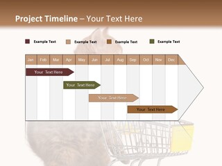 A Small Kitten Is Pushing A Shopping Cart PowerPoint Template
