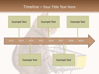 A Small Kitten Is Pushing A Shopping Cart PowerPoint Template