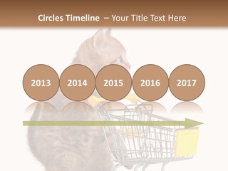 A Small Kitten Is Pushing A Shopping Cart PowerPoint Template