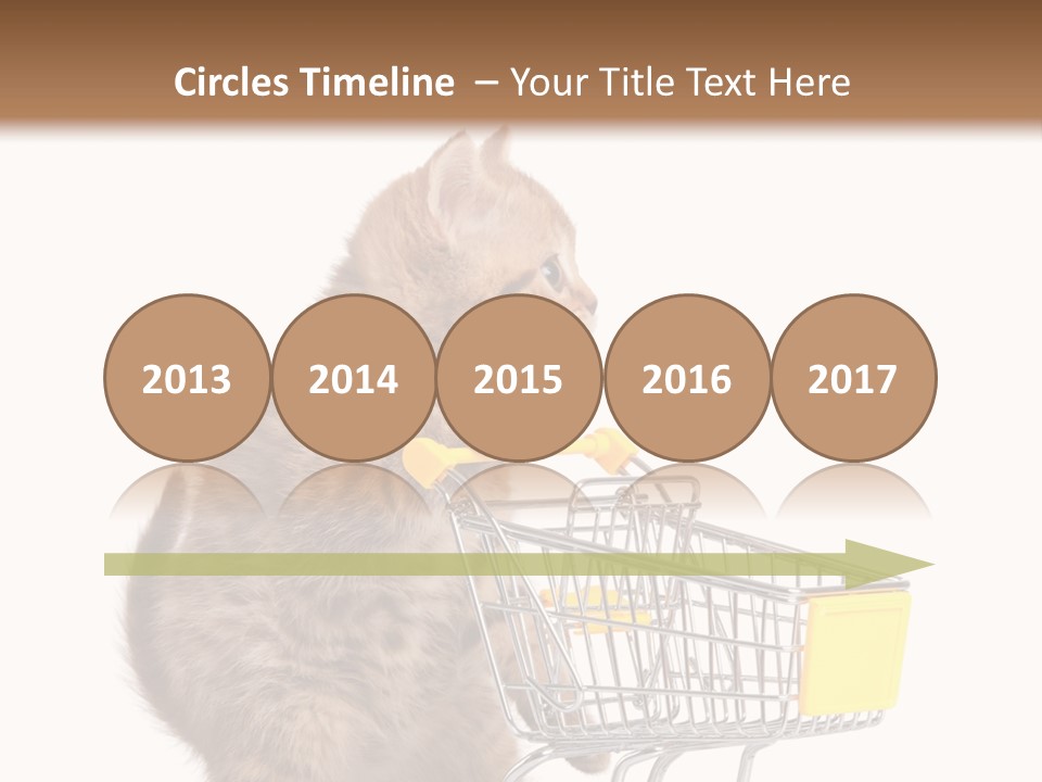 A Small Kitten Is Pushing A Shopping Cart PowerPoint Template
