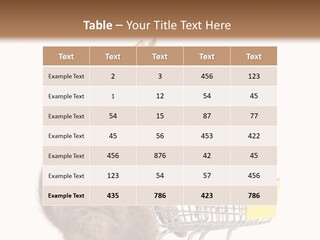 A Small Kitten Is Pushing A Shopping Cart PowerPoint Template