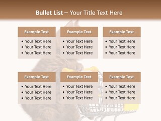 A Small Kitten Is Pushing A Shopping Cart PowerPoint Template
