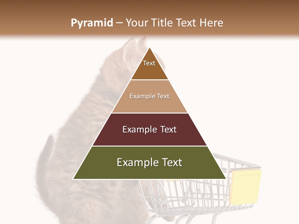 A Small Kitten Is Pushing A Shopping Cart PowerPoint Template