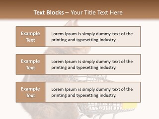 A Small Kitten Is Pushing A Shopping Cart PowerPoint Template