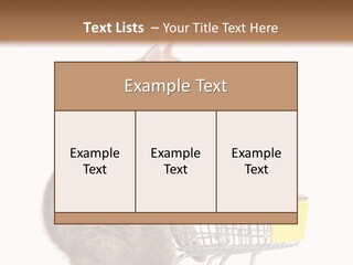 A Small Kitten Is Pushing A Shopping Cart PowerPoint Template