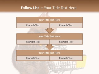 A Small Kitten Is Pushing A Shopping Cart PowerPoint Template
