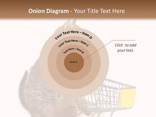 A Small Kitten Is Pushing A Shopping Cart PowerPoint Template