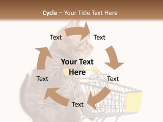 A Small Kitten Is Pushing A Shopping Cart PowerPoint Template