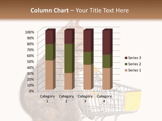 A Small Kitten Is Pushing A Shopping Cart PowerPoint Template