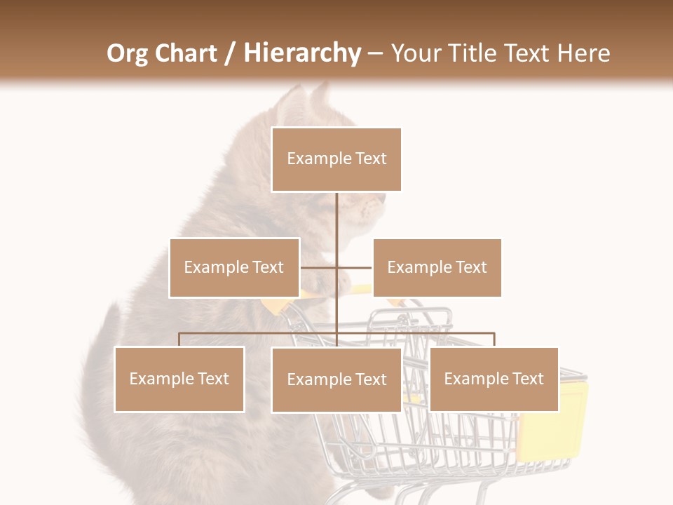 A Small Kitten Is Pushing A Shopping Cart PowerPoint Template