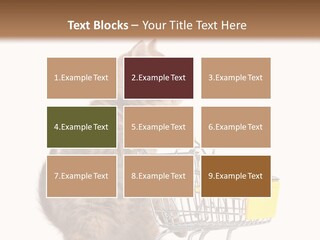 A Small Kitten Is Pushing A Shopping Cart PowerPoint Template