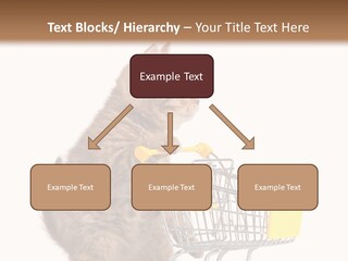 A Small Kitten Is Pushing A Shopping Cart PowerPoint Template