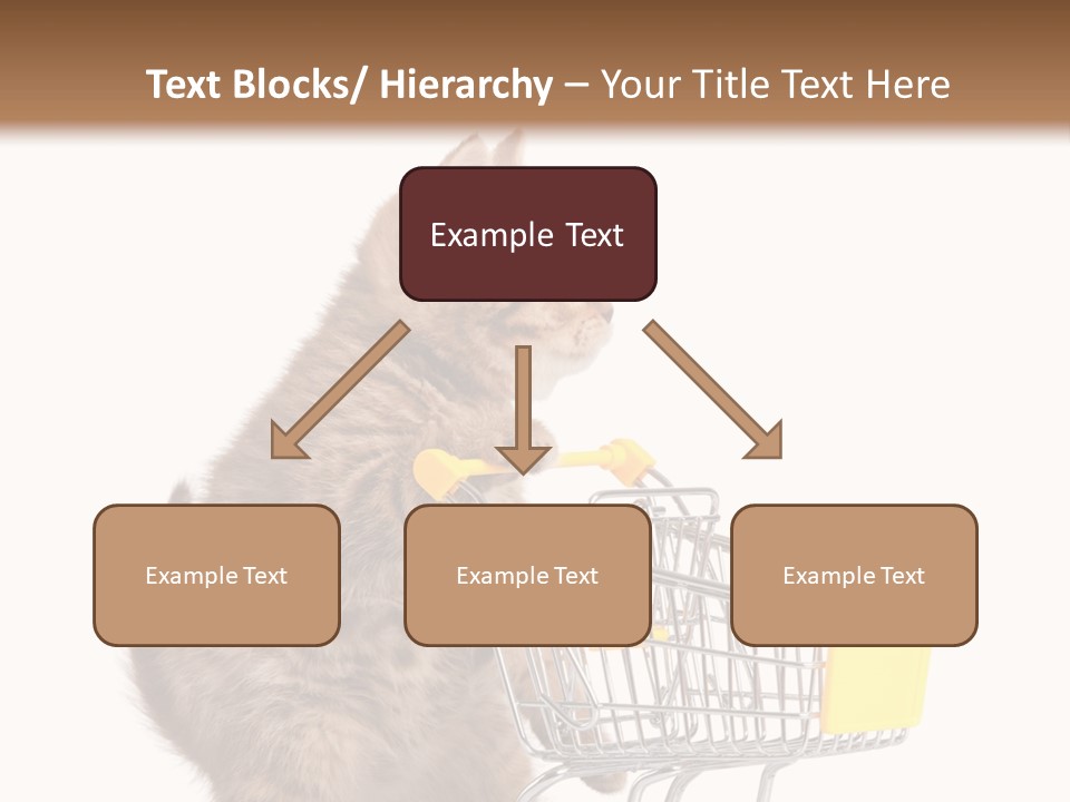A Small Kitten Is Pushing A Shopping Cart PowerPoint Template