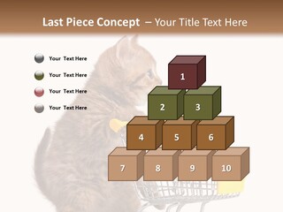 A Small Kitten Is Pushing A Shopping Cart PowerPoint Template