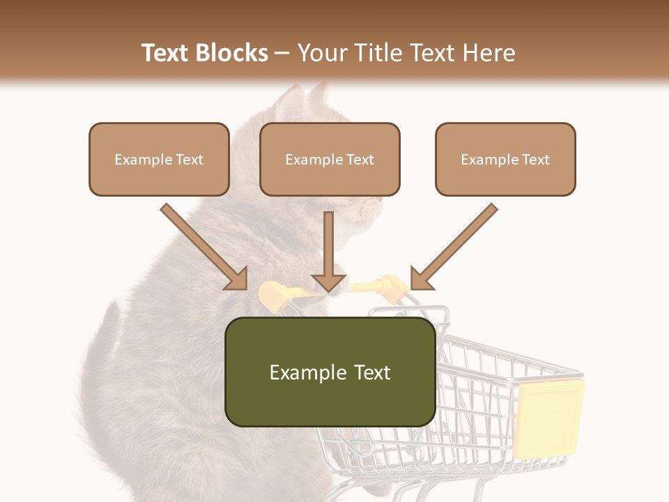 A Small Kitten Is Pushing A Shopping Cart PowerPoint Template