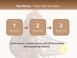 A Small Kitten Is Pushing A Shopping Cart PowerPoint Template