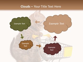 A Small Kitten Is Pushing A Shopping Cart PowerPoint Template