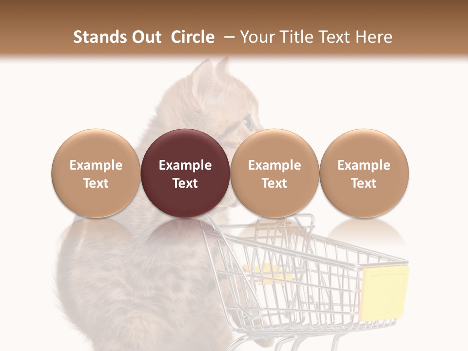 A Small Kitten Is Pushing A Shopping Cart PowerPoint Template