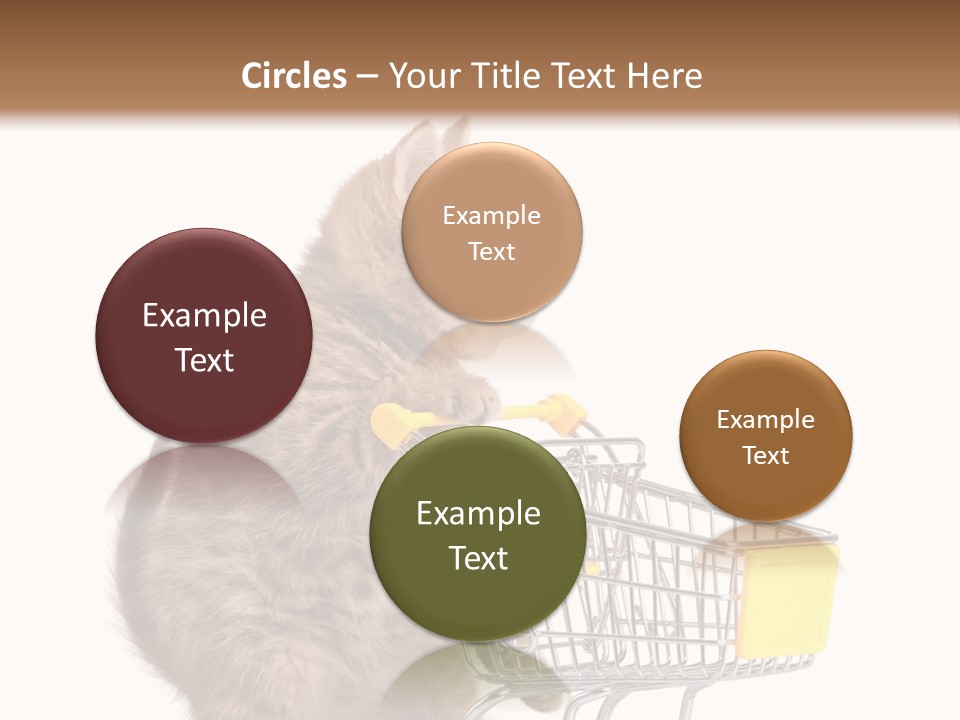 A Small Kitten Is Pushing A Shopping Cart PowerPoint Template
