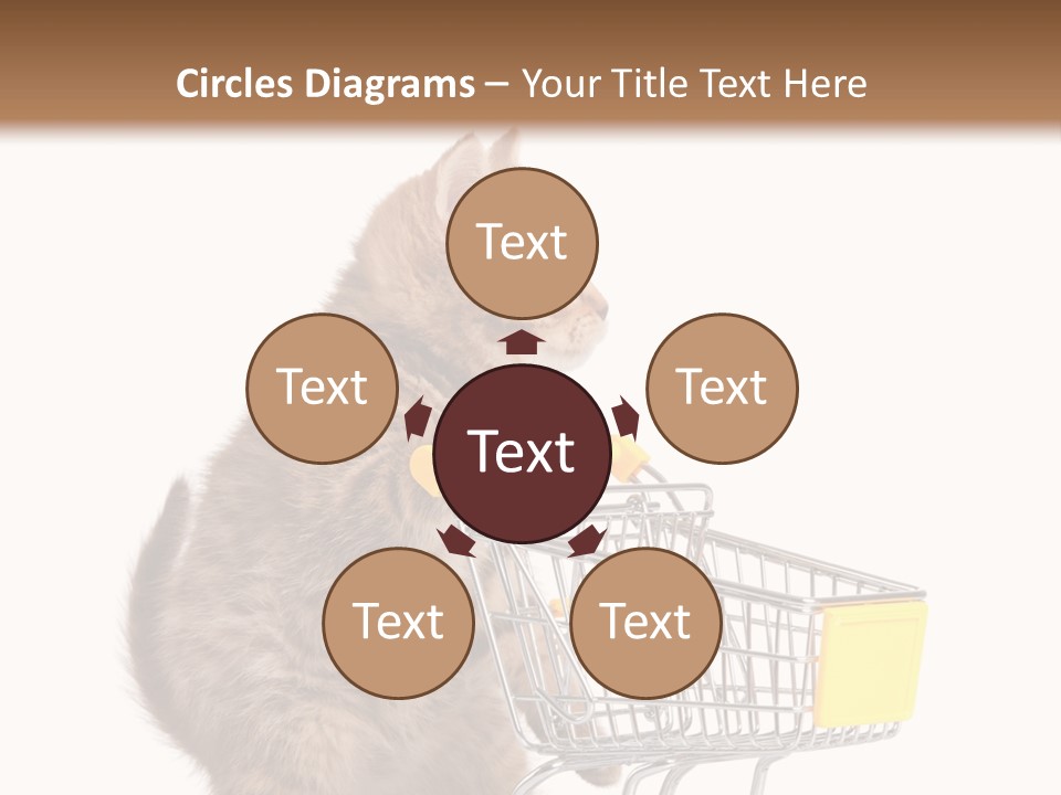 A Small Kitten Is Pushing A Shopping Cart PowerPoint Template