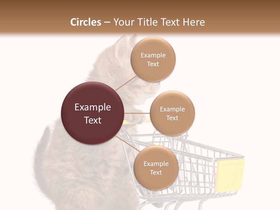 A Small Kitten Is Pushing A Shopping Cart PowerPoint Template