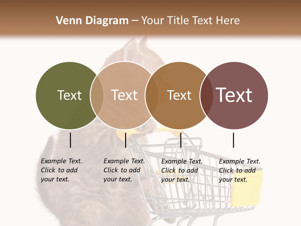 A Small Kitten Is Pushing A Shopping Cart PowerPoint Template