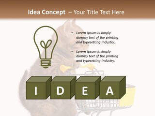 A Small Kitten Is Pushing A Shopping Cart PowerPoint Template