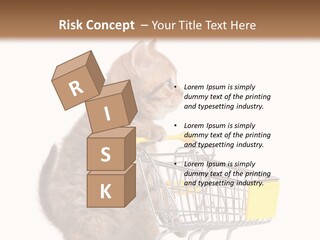 A Small Kitten Is Pushing A Shopping Cart PowerPoint Template