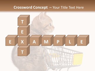 A Small Kitten Is Pushing A Shopping Cart PowerPoint Template