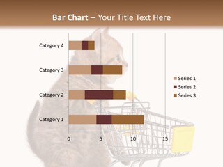 A Small Kitten Is Pushing A Shopping Cart PowerPoint Template