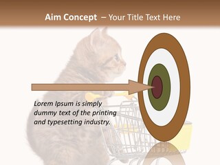 A Small Kitten Is Pushing A Shopping Cart PowerPoint Template