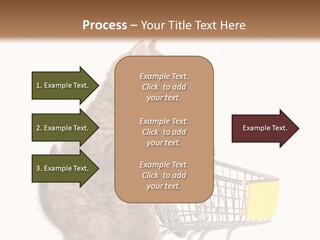 A Small Kitten Is Pushing A Shopping Cart PowerPoint Template