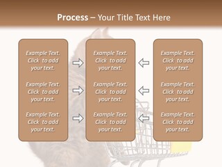 A Small Kitten Is Pushing A Shopping Cart PowerPoint Template