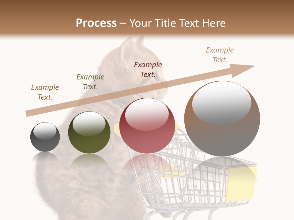 A Small Kitten Is Pushing A Shopping Cart PowerPoint Template