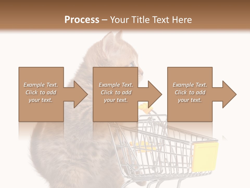 A Small Kitten Is Pushing A Shopping Cart PowerPoint Template