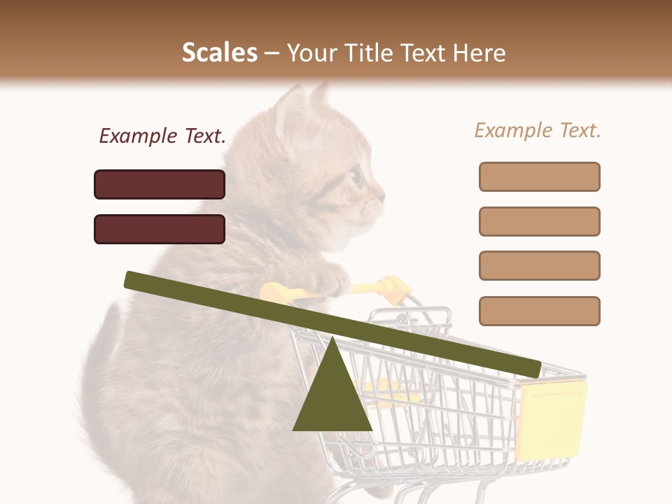 A Small Kitten Is Pushing A Shopping Cart PowerPoint Template