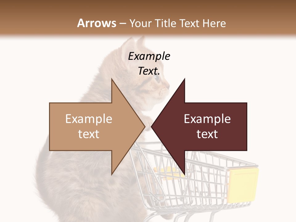 A Small Kitten Is Pushing A Shopping Cart PowerPoint Template