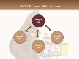 A Small Kitten Is Pushing A Shopping Cart PowerPoint Template