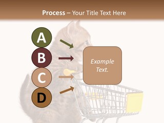 A Small Kitten Is Pushing A Shopping Cart PowerPoint Template