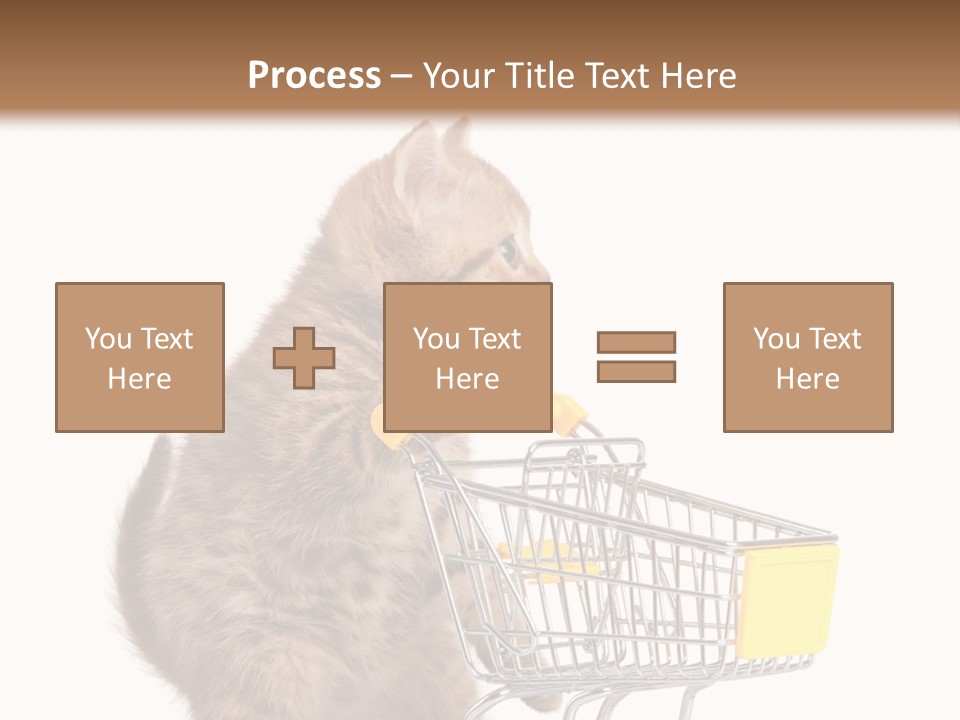 A Small Kitten Is Pushing A Shopping Cart PowerPoint Template