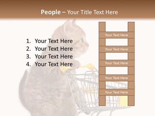 A Small Kitten Is Pushing A Shopping Cart PowerPoint Template