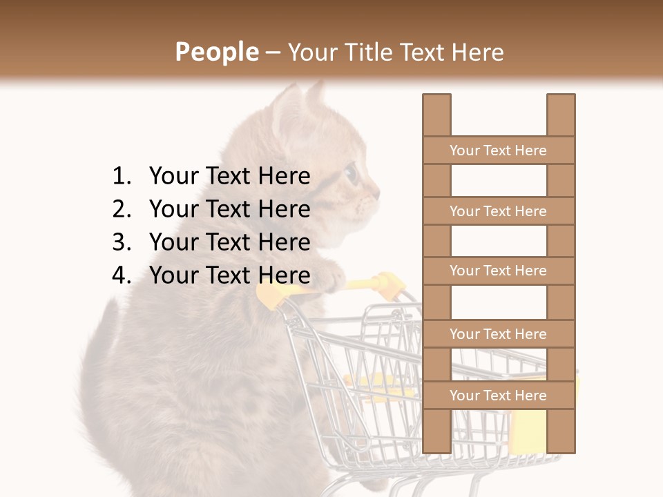 A Small Kitten Is Pushing A Shopping Cart PowerPoint Template
